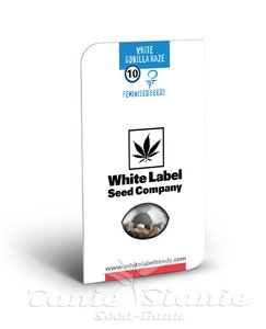 White Gorilla Haze - WHITE LABEL - 2