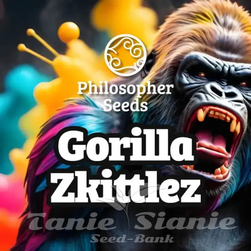 Nasiona Marihuany Gorilla Zkittlez - PHILOSOPHER SEEDS