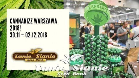 Cannabizz Warszawa 2018! (30.11 – 02.12)