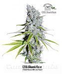 DUTCH PASSION - CBD Skunk Haze