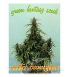 GREEN FANTASY SEEDS - Auto Bamiyan