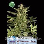 KERA SEEDS - N.L.X. Diamond Auto