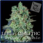 ELITE SEEDS - La Rica Clásica THC