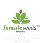 FEMALE SEEDS - Fast Nevills