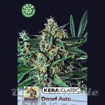 KERA SEEDS - Kera Dwarf