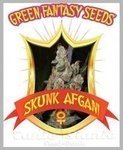 GREEN FANTASY SEEDS - Skunk Afghani