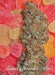 MANDALA SEEDS - Fruitylicious