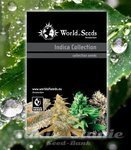 WORLD OF SEEDS - Indica Collection