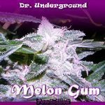 DR UNDERGROUND - Melon Gum