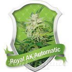 ROYAL QUEEN SEEDS - Royal AK Automatic®