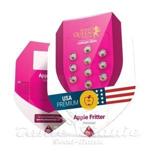 Apple Fritter - ROYAL QUEEN SEEDS - 3