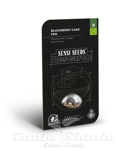 Blackberry Cake - SENSI SEEDS - 2