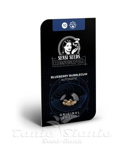 Blueberry Bubblegum Auto - SENSI SEEDS - 2