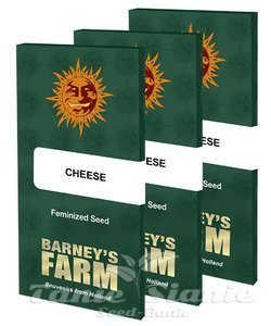 Cheese - BARNEY'S FARM - 2