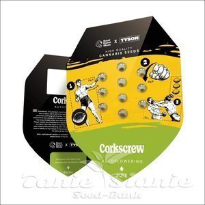Corkscrew Auto - ROYAL QUEEN SEEDS X TYSON 2.0 - 2