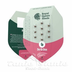 Do-Si-Dos - ROYAL QUEEN SEEDS - 2