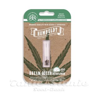 Dream Queen Auto - HUMBOLDT SEED COMPANY - 4