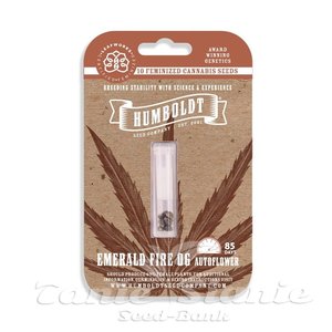 Emerald Fire OG Auto - HUMBOLDT SEED COMPANY - 3