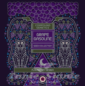 Giggin' Grapes - COMPOUND GENETICS - 3