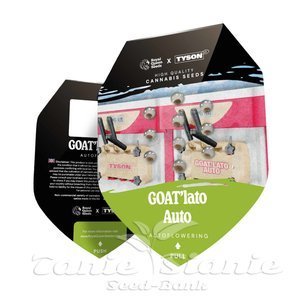 GOAT'lato Auto - ROYAL QUEEN SEEDS - 2