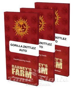 Gorilla Zkittlez Auto - BARNEY'S FARM - 11