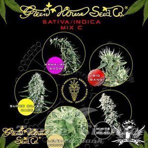 Sativa/Indica Mix C - GREEN HOUSE SEEDS - 1