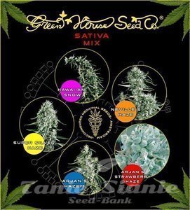 Sativa Mix - GREEN HOUSE SEEDS - 1