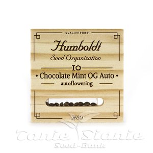Chocolate Mint OG Auto - HUMBOLDT SEED ORGANIZATION - 2