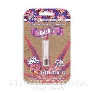Jelly Donutz - HUMBOLDT SEEDS COMPANY - 4