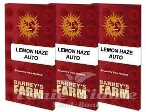 Lemon Haze Auto - BARNEY'S FARM - 2