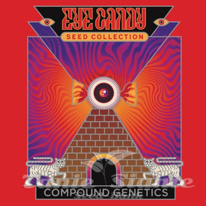 New Money - COMPOUND GENETICS - 3
