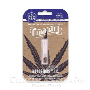 Notorious THC - HUMBOLDT SEED COMPANY - 4