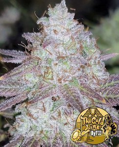 Passion Berry - THE CALI CONNECTION - 2