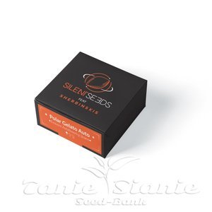 Polar Gelato Auto - SILENT SEEDS - 2