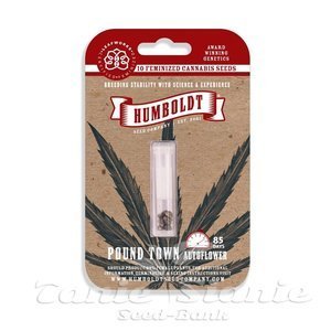 Pound Town Auto - HUMBOLDT SEED COMPANY - 3