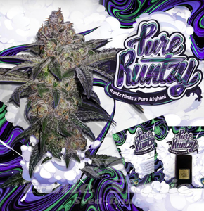 Pure Runtzy - T.H. SEEDS - 1
