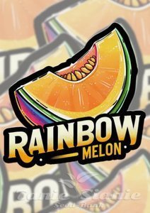 Rainbow Melon - FASTBUDS - 1