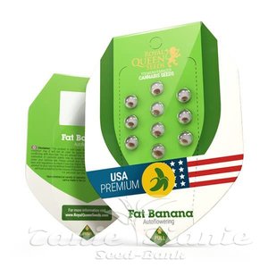 Fat Banana Automatic - ROYAL QUEEN SEEDS - 2