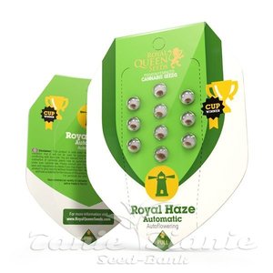 Royal Haze Automatic - ROYAL QUEEN SEEDS - 3