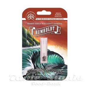 Slightly Stoopid Fruits - HUMBOLDT SEEDS COMPANY - 4