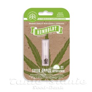 Sour Apple Auto - HUMBOLDT SEED COMPANY - 3