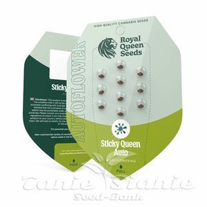 Sticky Queen Auto - ROYAL QUEEN SEEDS - 2
