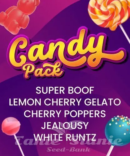 Nasiona Marihuany Candy Pack - BARNEY'S FARM