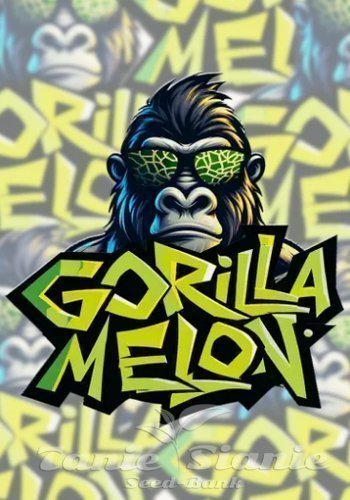 Nasiona Marihuany Gorilla Melon - FASTBUDS