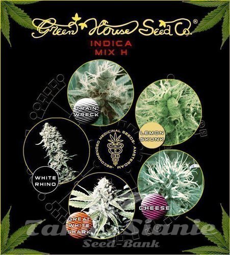 Nasiona Marihuany Indica Mix H - GREEN HOUSE SEEDS