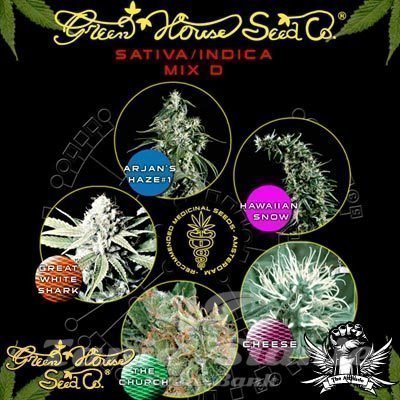 Nasiona Marihuany Sativa/Indica Mix D - GREEN HOUSE SEEDS