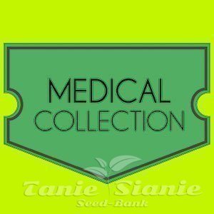 Nasiona Marihuany Medical Collection - WORLD OF SEEDS