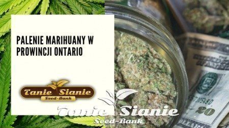 Palenie marihuany w prowincji Ontario