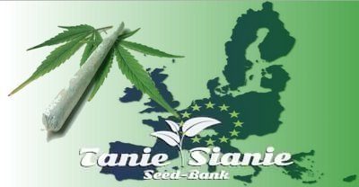 Kraje w Europie w których marihuana jest legalna