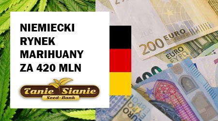 Niemiecki rynek medycznej marihuany przekroczy 420 mln euro w 2024 roku